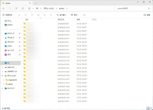 Synology DS218 救出済みデータ