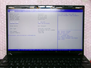 NEC PC-GN164J5GH 正常表示