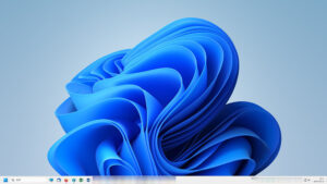 Windows11